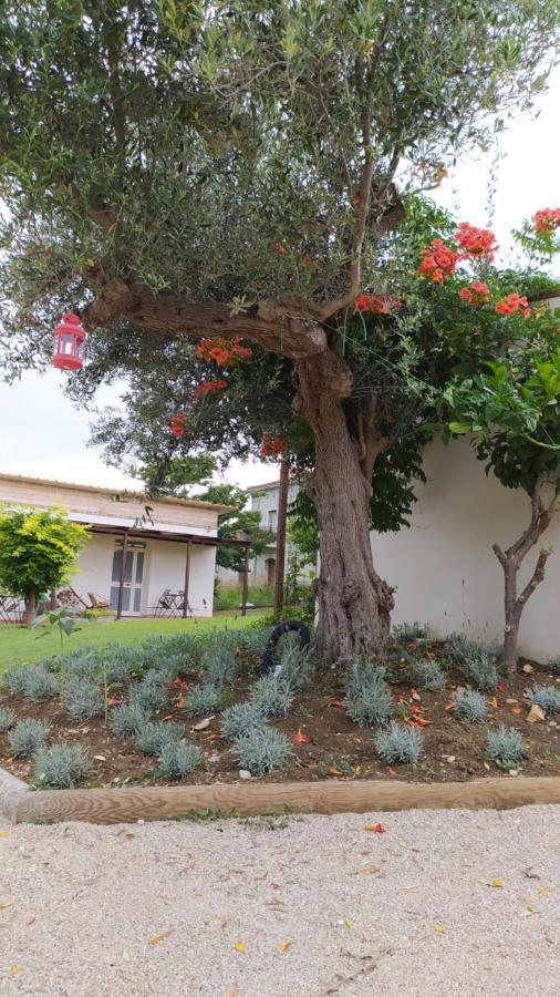 Relais Il Giardino Fra Gli Ulivi Villa Торино ди Сангро Екстериор снимка