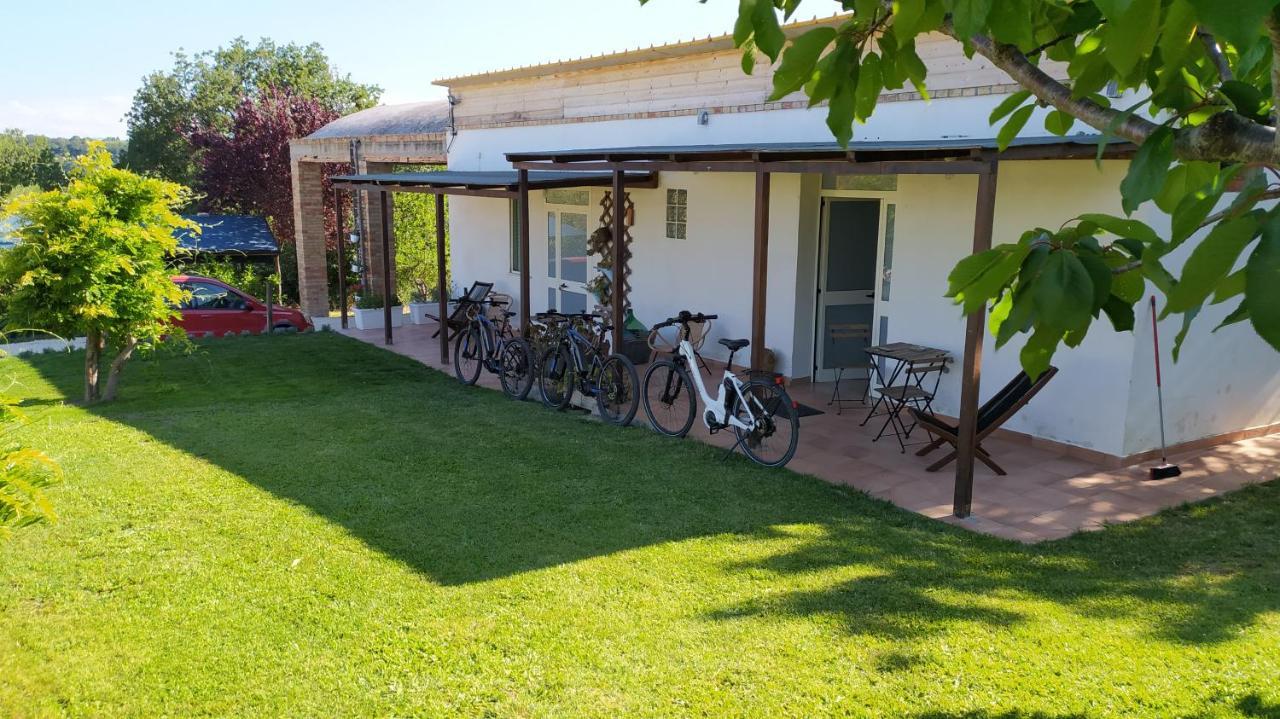 Relais Il Giardino Fra Gli Ulivi Villa Торино ди Сангро Екстериор снимка