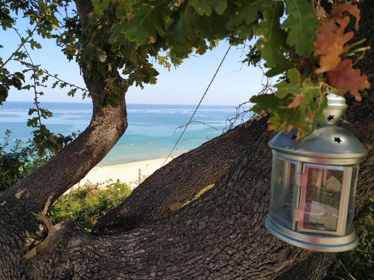 Relais Il Giardino Fra Gli Ulivi Villa Торино ди Сангро Екстериор снимка