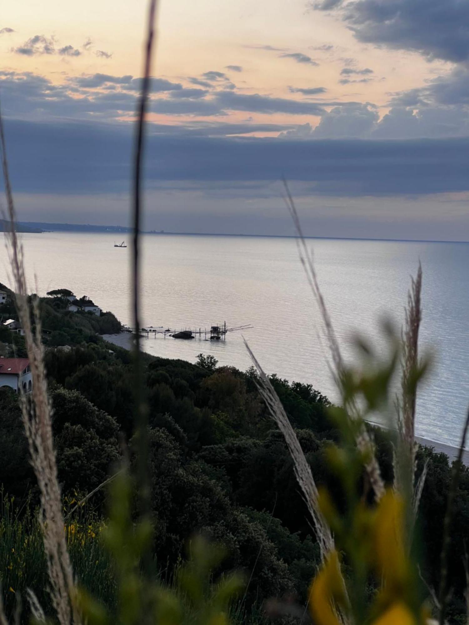 Relais Il Giardino Fra Gli Ulivi Villa Торино ди Сангро Екстериор снимка