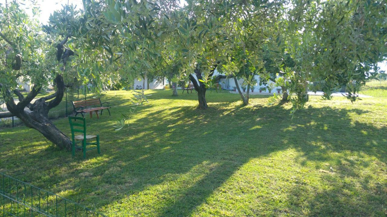 Relais Il Giardino Fra Gli Ulivi Villa Торино ди Сангро Екстериор снимка