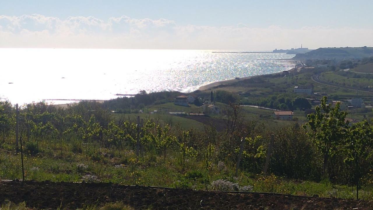 Relais Il Giardino Fra Gli Ulivi Villa Торино ди Сангро Екстериор снимка