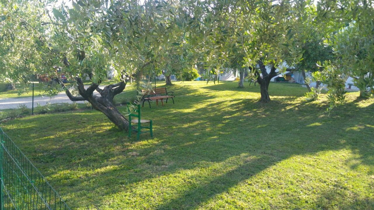 Relais Il Giardino Fra Gli Ulivi Villa Торино ди Сангро Екстериор снимка