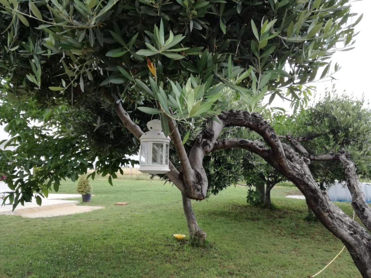 Relais Il Giardino Fra Gli Ulivi Villa Торино ди Сангро Екстериор снимка